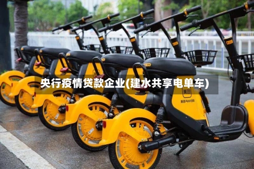 央行疫情贷款企业(建水共享电单车)-第3张图片