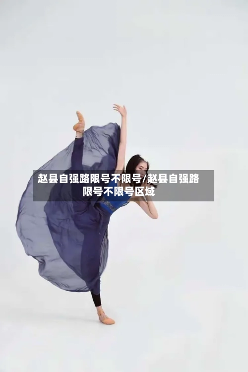 赵县自强路限号不限号/赵县自强路限号不限号区域