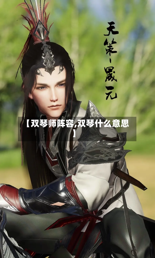 【双琴师阵容,双琴什么意思】