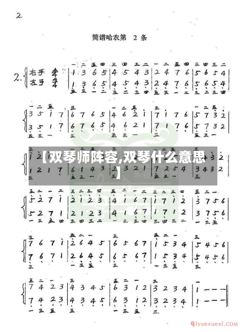 【双琴师阵容,双琴什么意思】-第2张图片
