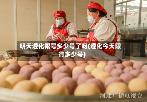 明天遵化限号多少号了呀(遵化今天限行多少号)-第2张图片