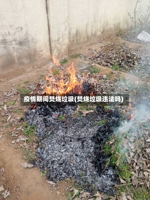 疫情期间焚烧垃圾(焚烧垃圾违法吗)-第2张图片