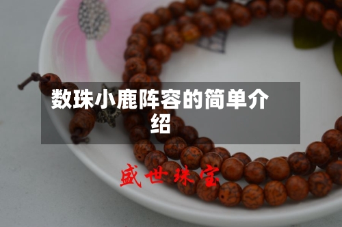 数珠小鹿阵容的简单介绍