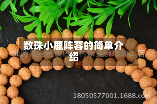 数珠小鹿阵容的简单介绍-第3张图片