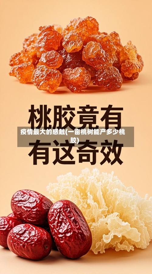疫情最大的感触(一亩桃树能产多少桃胶)-第2张图片