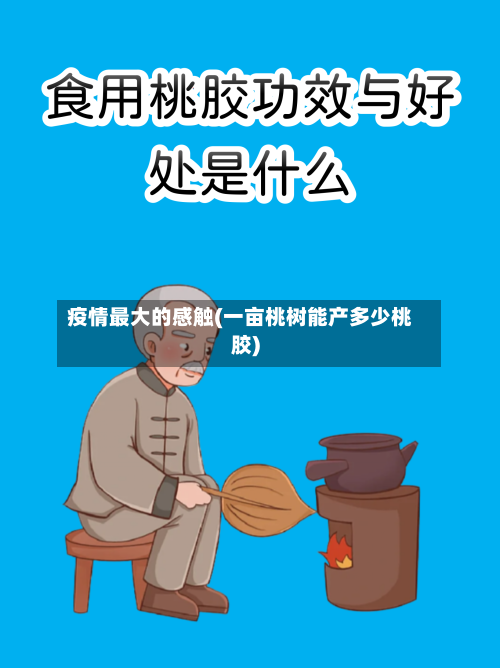 疫情最大的感触(一亩桃树能产多少桃胶)-第3张图片