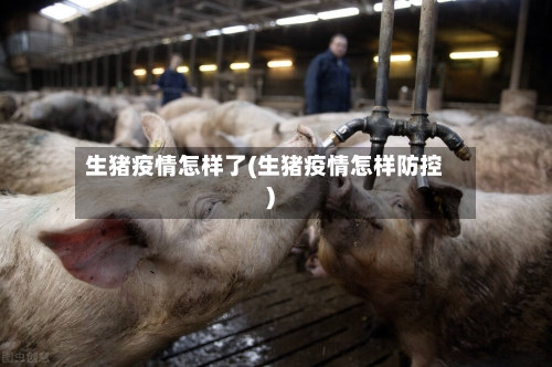生猪疫情怎样了(生猪疫情怎样防控)