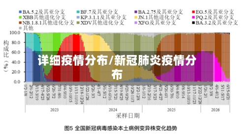 详细疫情分布/新冠肺炎疫情分布