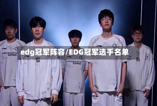 edg冠军阵容/EDG冠军选手名单