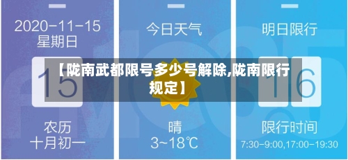 【陇南武都限号多少号解除,陇南限行规定】-第3张图片
