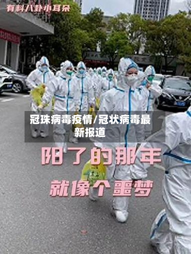 冠珠病毒疫情/冠状病毒最新报道-第2张图片