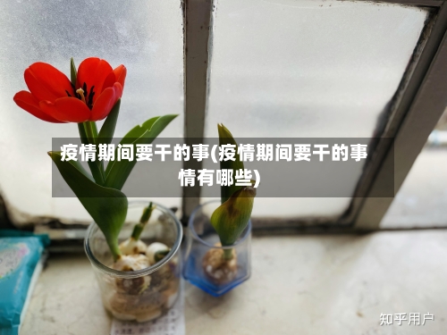 疫情期间要干的事(疫情期间要干的事情有哪些)-第2张图片