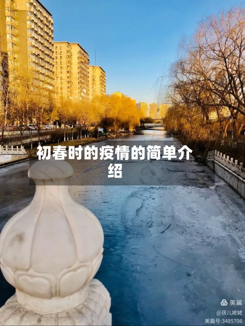 初春时的疫情的简单介绍